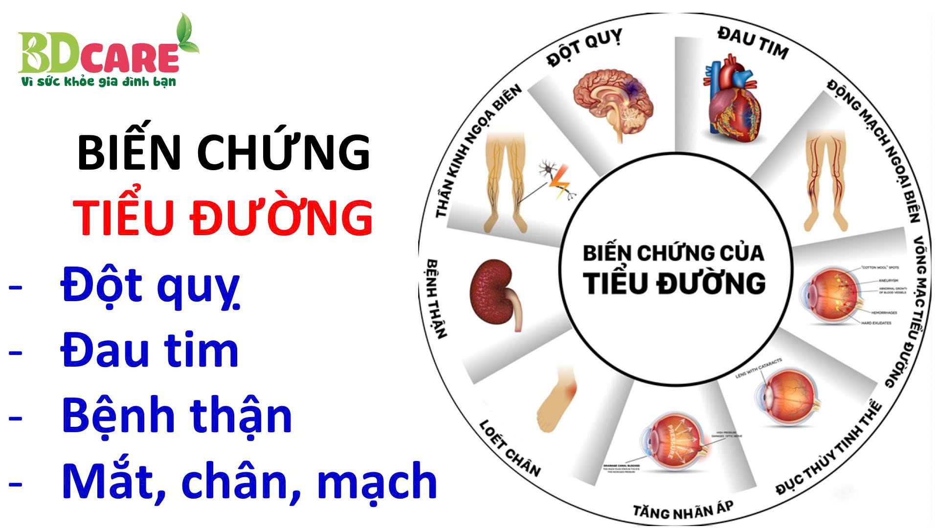 CẢI THIỆN TIỂU ĐƯỜNG, PHÒNG CHỐNG CÁC BIẾN CHỨNG TIỂU ĐƯỜNG CÙNG BDCARE!